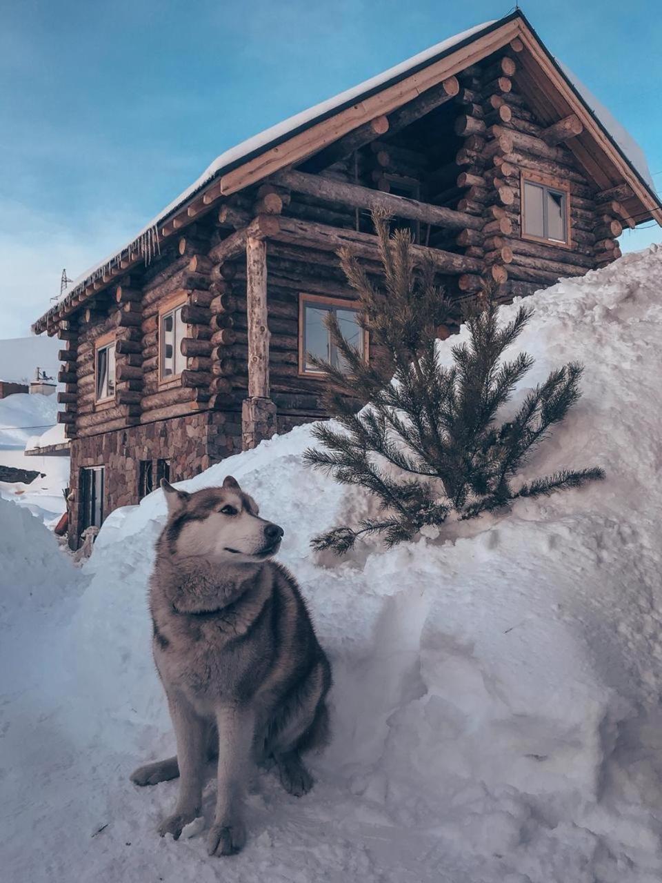 Mountain Cricket Chalets And Apartments Goedaoeri Buitenkant foto